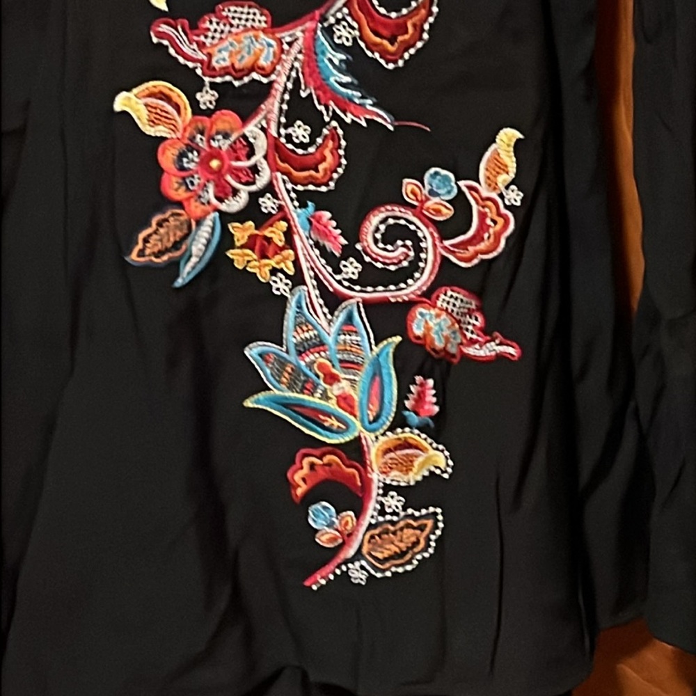 Savanna Jane Black V-Neck Blouse with Multicolor Floral Embroidery - Picture 6 of 12